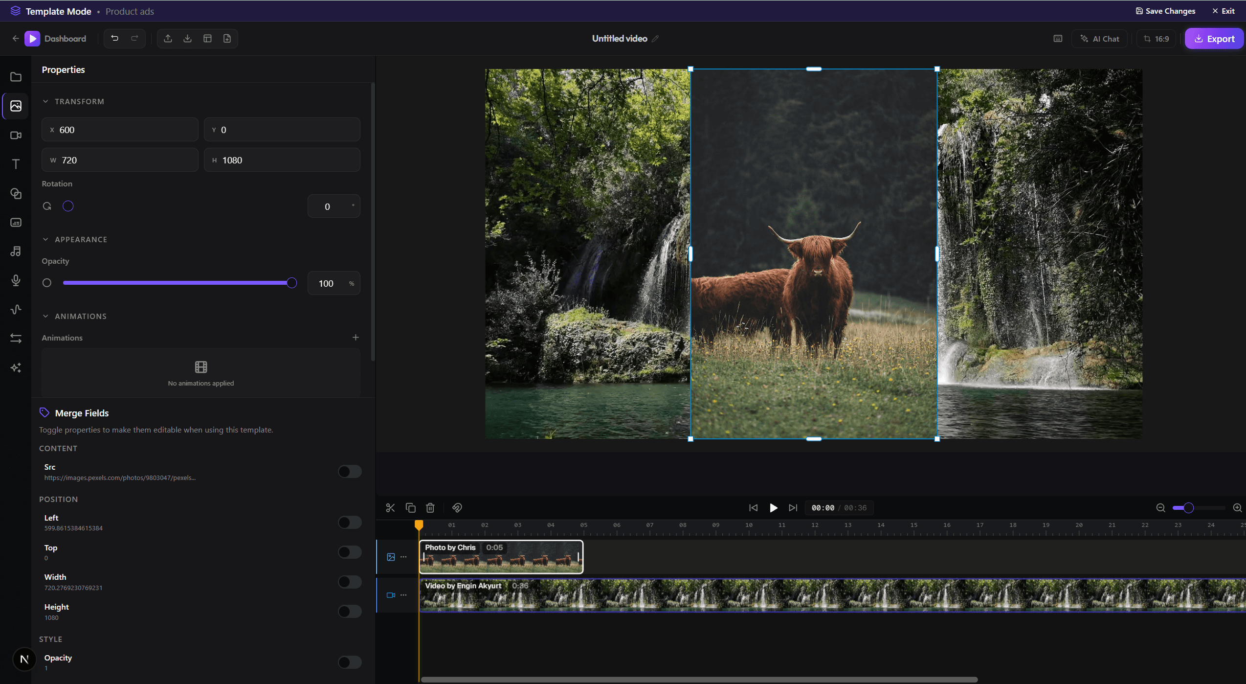 Vizora Editor — multi-track timeline with AI Copilot